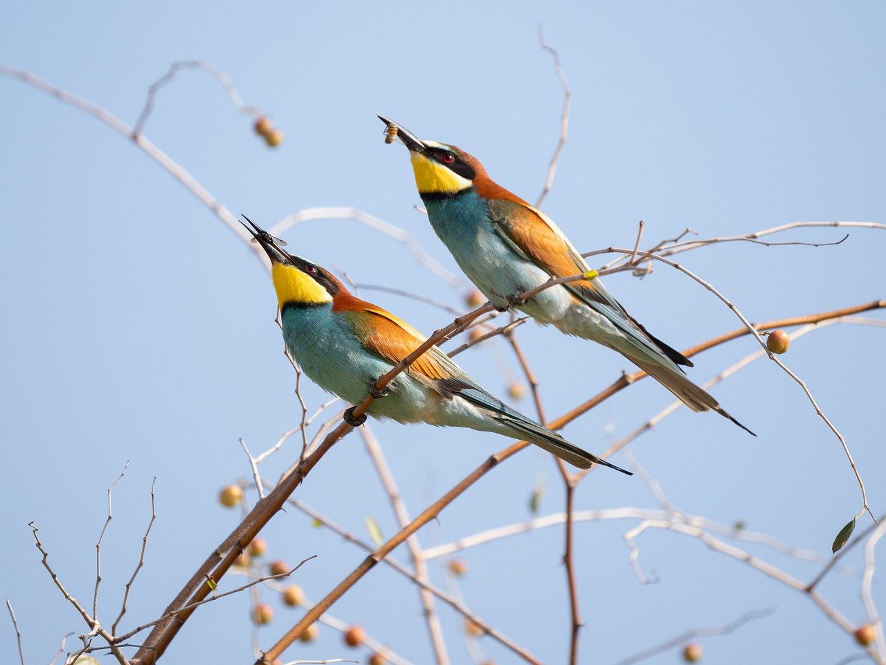 découvrez les services écosystémiques, ces contributions essentielles que la nature apporte à notre bien-être. apprenez comment la biodiversité, les pollinisateurs et les écosystèmes jouent un rôle crucial dans la régulation de notre environnement et le soutien de notre qualité de vie.