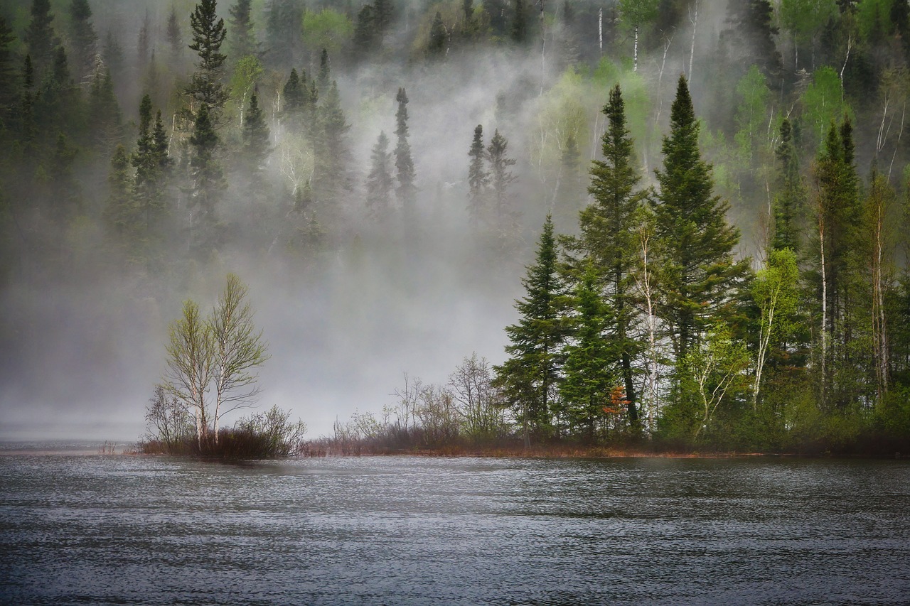 découvrez les écosystèmes, ces ensembles complexes d'organismes vivants et de leur environnement. apprenez comment ils interagissent, se nourrissent et s'adaptent pour maintenir l'équilibre de la nature. explorez la biodiversité, les menaces qui pèsent sur ces systèmes et l'importance de leur préservation pour notre avenir.