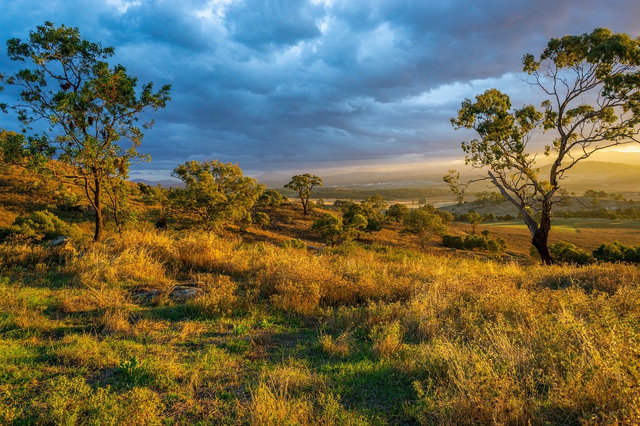 découvrez la beauté de la nature à travers des paysages époustouflants, une faune riche et une flore diversifiée. explorez des astuces pour préserver notre environnement et plonger dans des expériences en plein air uniques.