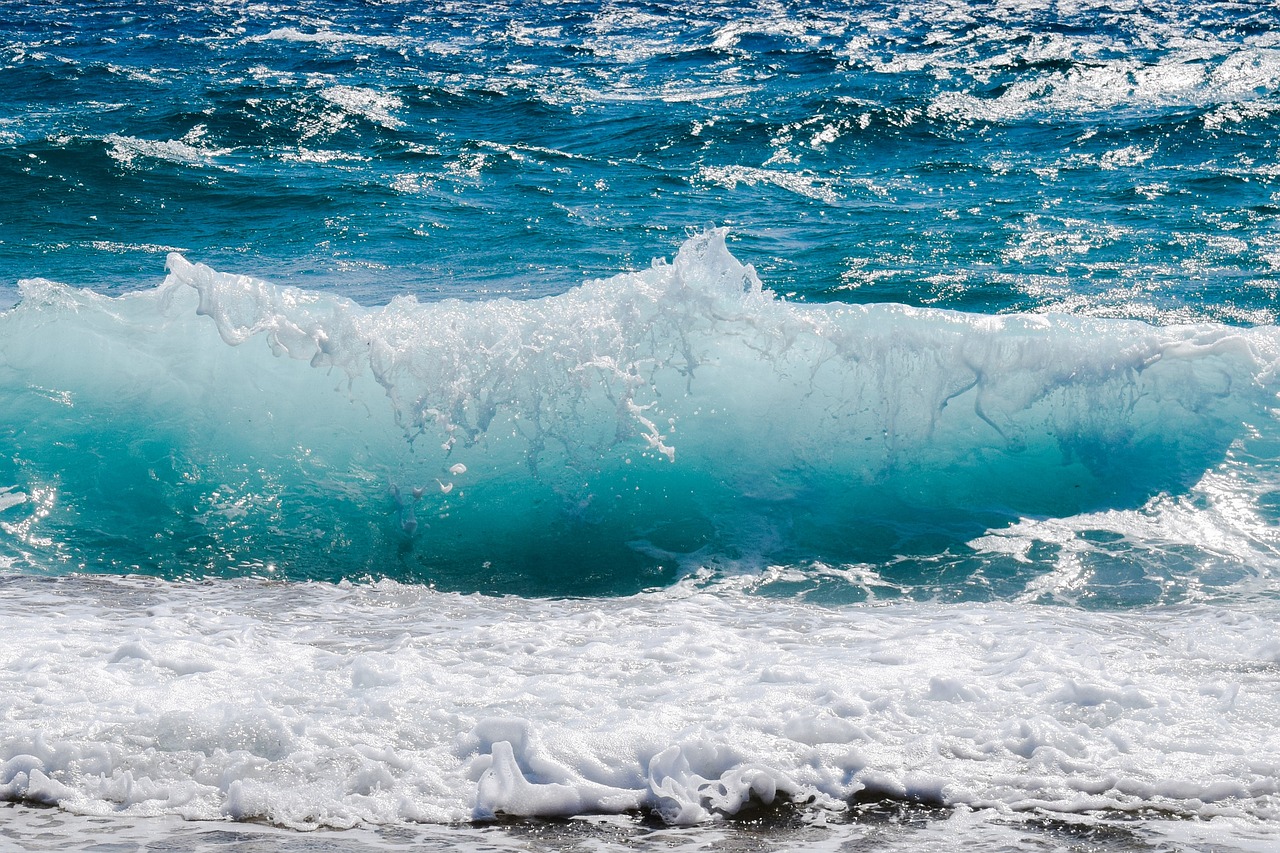 découvrez la beauté envoûtante des océans, leurs écosystèmes fascinants, la vie marine variée et les enjeux environnementaux auxquels ils font face. plongez dans l'univers des mers et des océans, où chaque vague raconte une histoire.