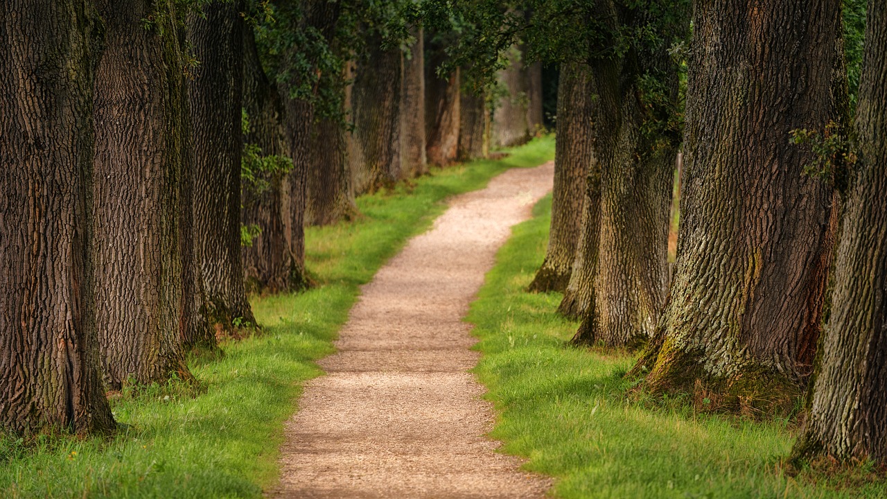 découvrez le chemin vers votre succès avec path, une plateforme innovante qui guide les utilisateurs à travers des solutions personnalisées pour atteindre leurs objectifs. explorez nos outils et ressources pour un développement optimal.