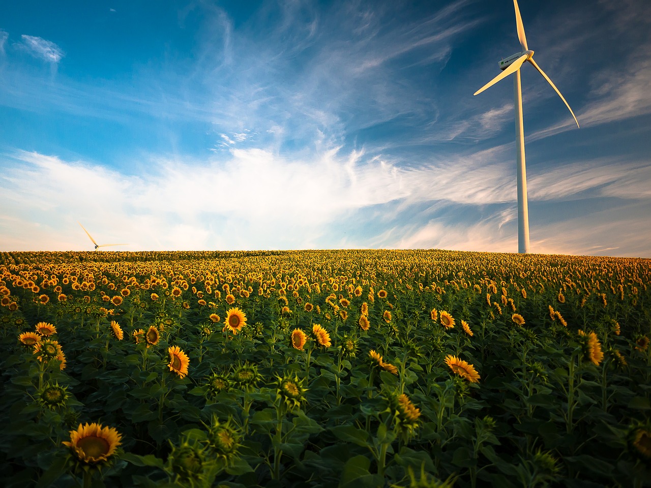 découvrez les enjeux et les avantages de l'énergie renouvelable, une solution durable pour un avenir écologique. explorez les différentes sources d'énergie verte et leur impact sur la planète.