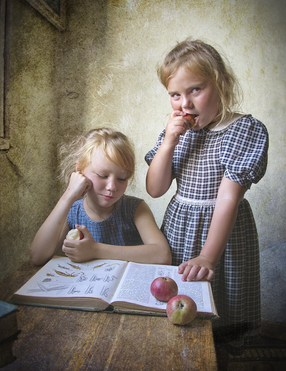 découvrez une sélection de livres pour enfants axés sur le climat, qui éveillent la conscience écologique et inspirent les jeunes générations à protéger notre planète à travers des récits captivants et éducatifs.