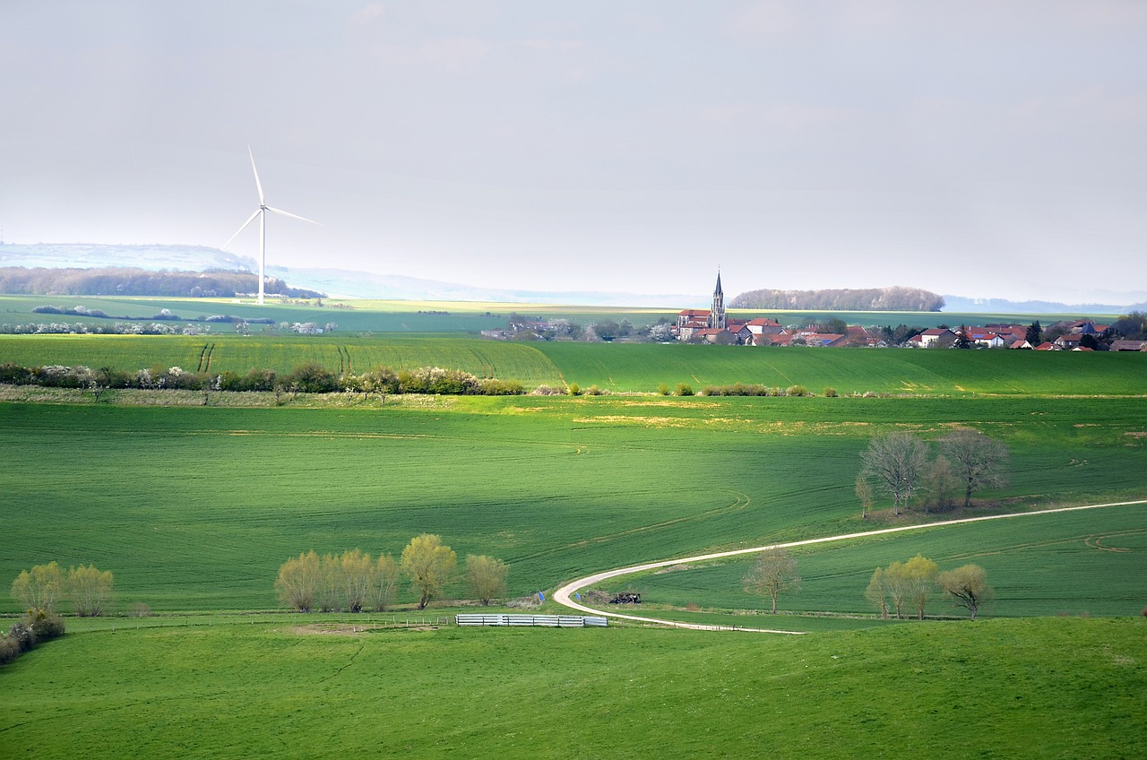 découvrez l'importance des politiques de développement durable pour préserver notre planète, promouvoir l'équité sociale et favoriser la croissance économique. apprenez comment ces initiatives transforment les communautés et répondent aux défis environnementaux actuels.