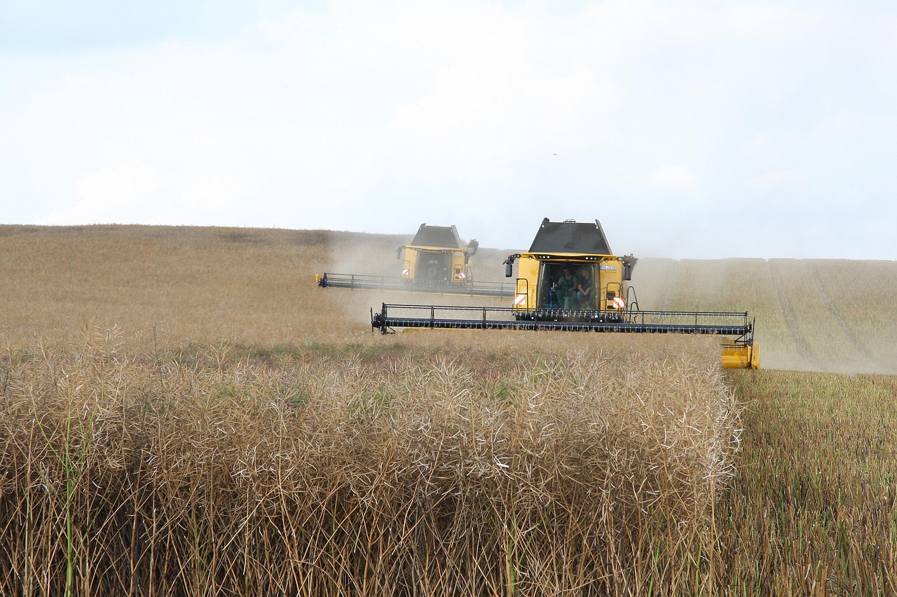 découvrez l'agriculture intensive, une méthode de culture visant à maximiser les rendements grâce à l'utilisation d'outils technologiques, de semences améliorées et de pratiques de gestion avancées. explorez ses avantages, ses défis et son impact sur l'environnement et la sécurité alimentaire.