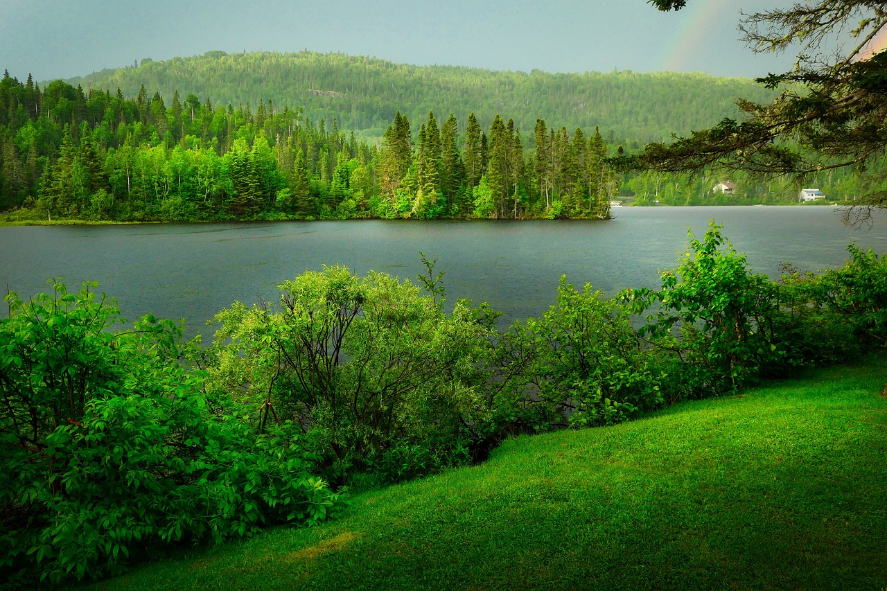 découvrez l'importance de la biodiversité pour notre planète. explorez les différentes espèces, leur habitat et les enjeux de la conservation pour protéger notre écosystème.