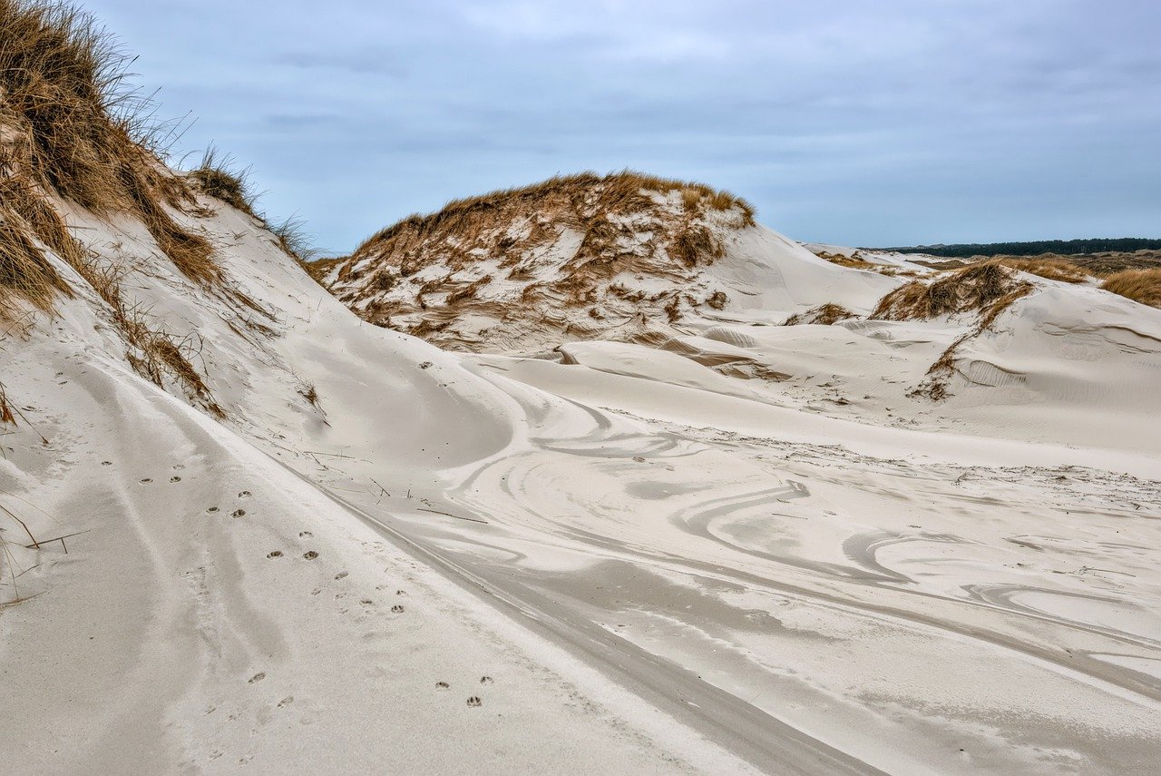 découvrez la beauté des réserves naturelles, sanctuaires de biodiversité où faune et flore coexistent en harmonie. explorez des paysages préservés, participez à des activités écoresponsables et sensibilisez-vous à la protection de l'environnement. pénétrez dans un monde où chaque visite contribue à la sauvegarde de la nature.