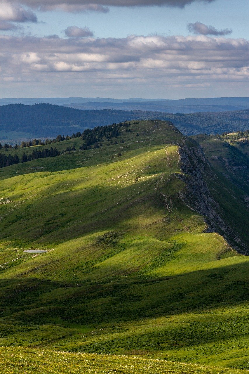 découvrez la beauté des réserves naturelles, sanctuaires de biodiversité où faune et flore prospèrent. explorez ces espaces protégés, véritables trésors de la nature, offrant des paysages variés et des activités de plein air pour tous les amoureux de la nature.