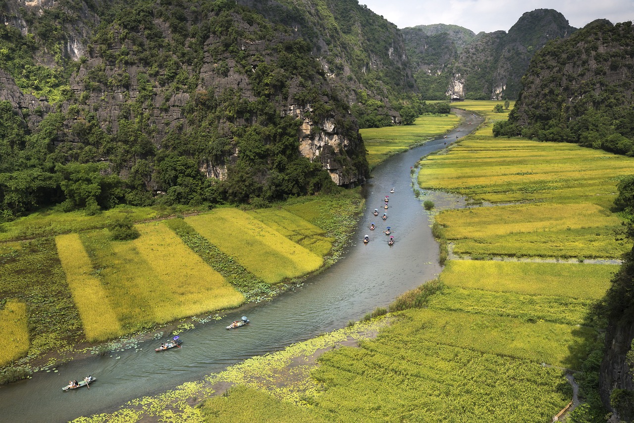 découvrez le rôle essentiel des ong dans le monde actuel. explorez comment ces organisations non gouvernementales se battent pour la justice sociale, la protection de l'environnement et les droits de l'homme, tout en mobilisant des ressources pour un impact positif dans les communautés.