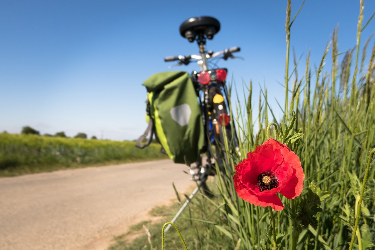 découvrez une variété d'activités de plein air qui vous feront vibrer ! que ce soit la randonnée, le camping, ou les sports d'aventure, explorez des expériences uniques en pleine nature pour tous les niveaux et toutes les envies.