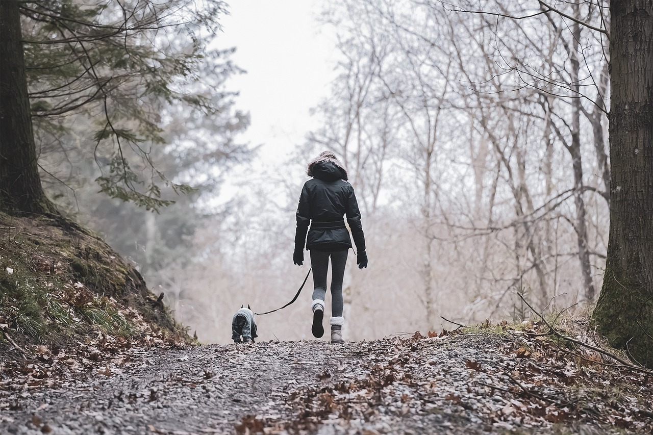 découvrez une multitude d'activités de plein air pour tous les aventuriers. que vous soyez passionné de randonnée, de kayak, de vélo ou d'escalade, trouvez des idées d'activités extérieures pour vous ressourcer et profiter de la nature. parfaites pour les familles, les amis ou les escapades en solo, nos suggestions d'activités vous aideront à créer des souvenirs inoubliables.