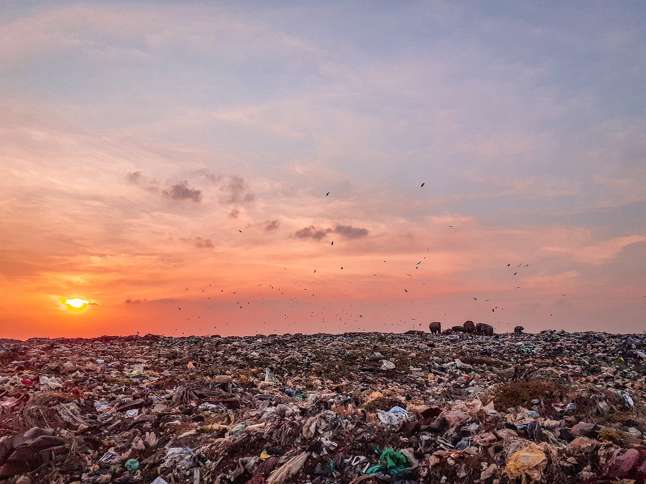 découvrez les différentes formes de pollution, leurs causes et leurs impacts sur l'environnement et la santé humaine. informez-vous sur les initiatives pour réduire la pollution et promouvoir un avenir plus sain.