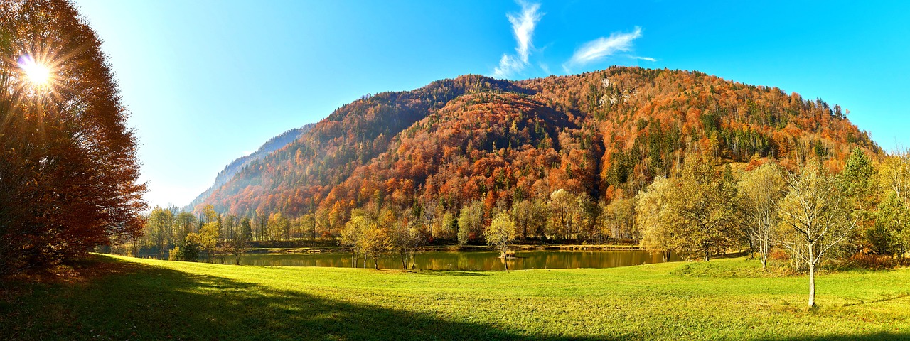 découvrez l'importance des zones protégées pour la conservation de la biodiversité, la préservation des écosystèmes et la promotion de l'écotourisme. explorez les avantages qu'elles apportent à notre planète et à notre bien-être.