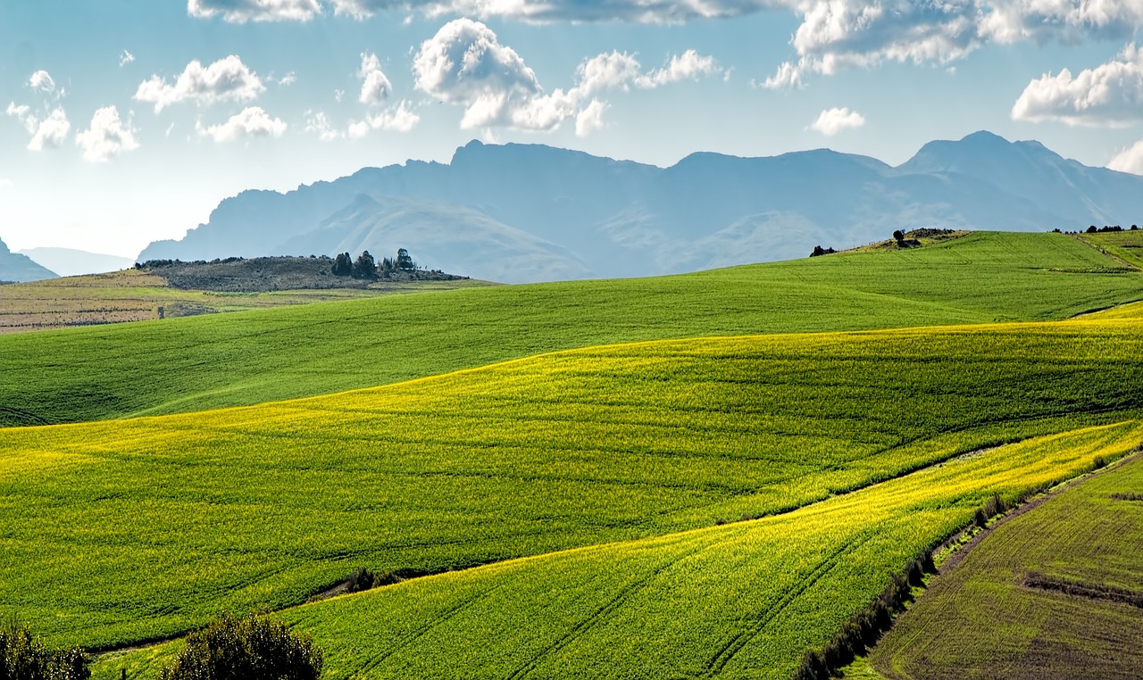 découvrez l'agriculture régénérative, une approche innovante visant à restaurer les sols, préserver la biodiversité et lutter contre le changement climatique tout en produisant des aliments de qualité. engagez-vous pour un avenir durable grâce à des pratiques agricoles respectueuses de l'environnement.