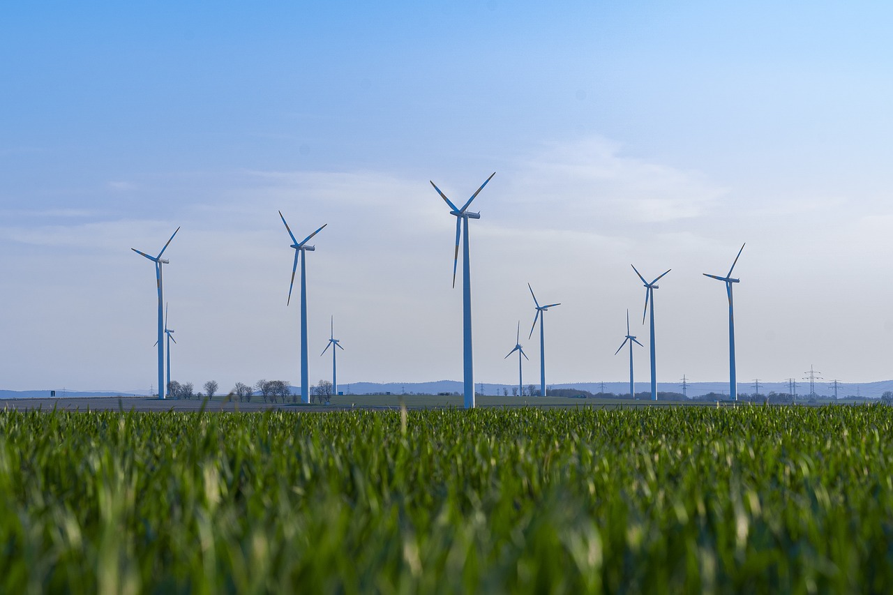 découvrez notre engagement envers la durabilité à travers des pratiques écologiques, des solutions innovantes et des initiatives visant à protéger notre planète pour les générations futures.