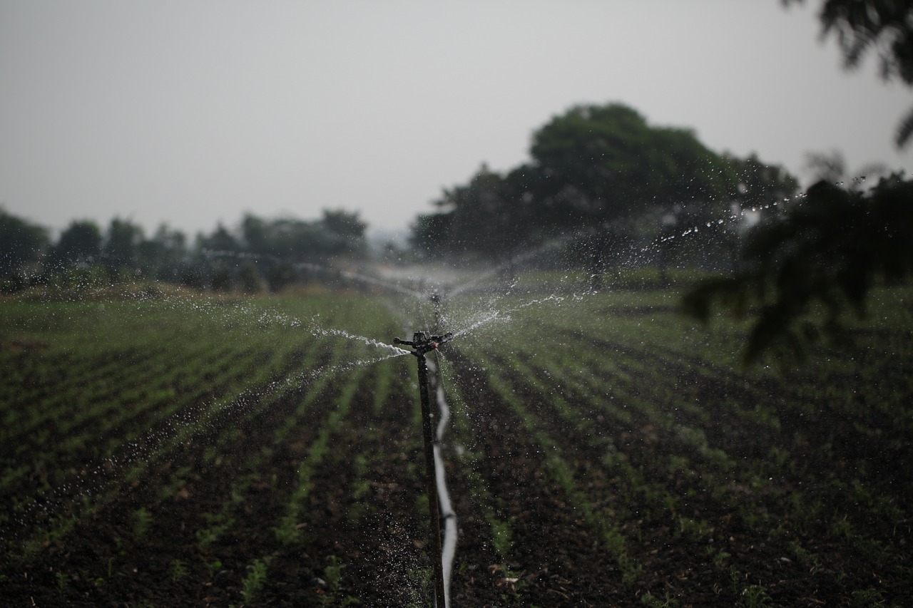 découvrez des stratégies efficaces de gestion de l'eau pour préserver nos ressources hydriques. apprenez comment optimiser l'utilisation de l'eau, réduire le gaspillage et garantir un approvisionnement durable pour les générations futures.