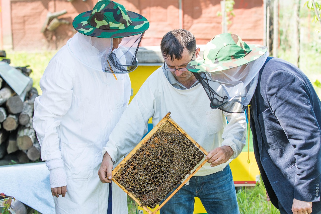 découvrez l'univers fascinant des apiculteurs, leurs pratiques essentielles pour la préservation des abeilles, et l'importance de leur travail pour notre écosystème. plongez dans l'art de l'apiculture et apprenez comment ces passionnés contribuent à la biodiversité et à la production de miel.