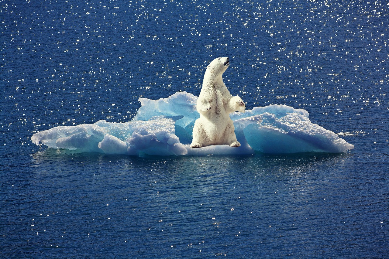 découvrez l'impact du changement climatique sur notre planète, ses causes, ses conséquences et les actions à entreprendre pour protéger notre environnement. informez-vous sur les solutions durables pour un avenir meilleur.