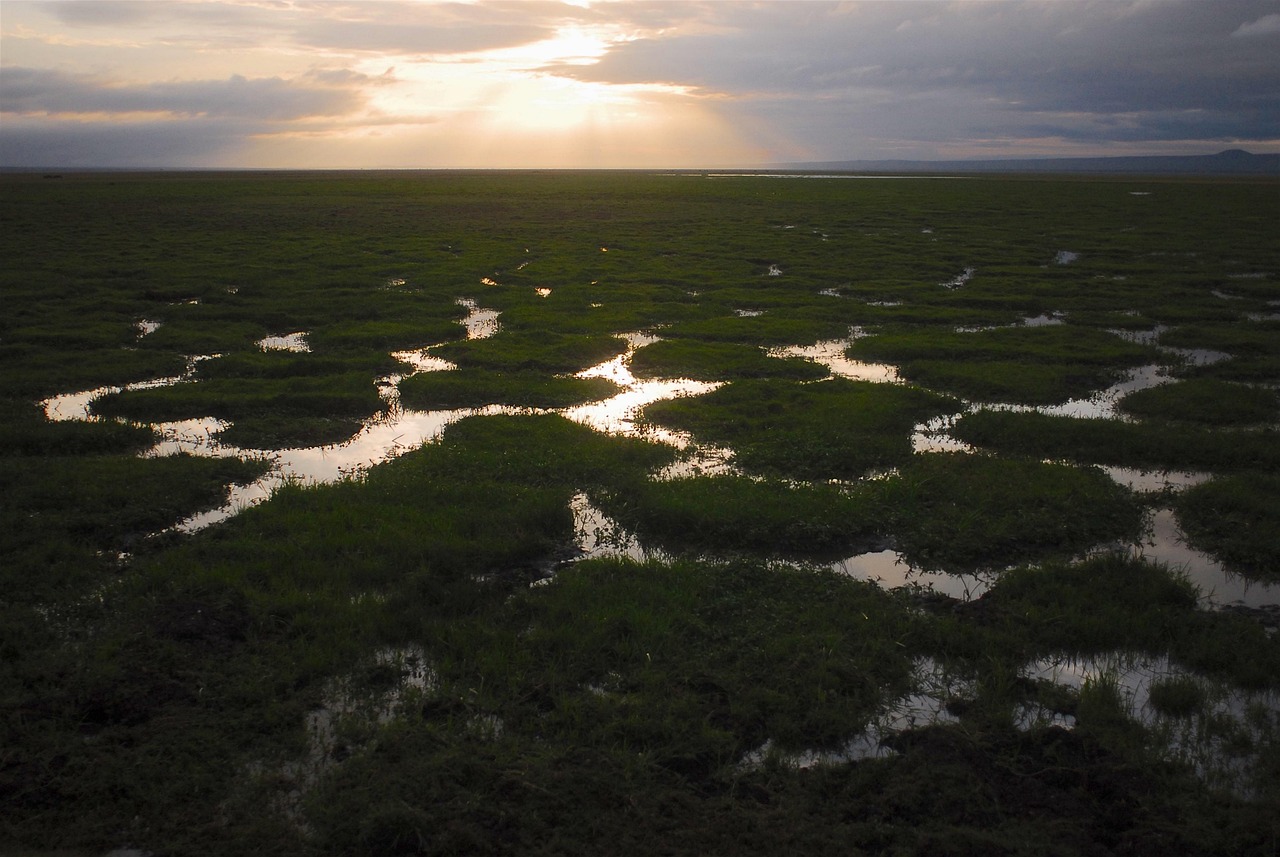 découvrez les enjeux et les impacts de la crise climatique sur notre planète. informez-vous sur les causes, les conséquences et les solutions pour un avenir durable dans un monde confronté à des défis environnementaux croissants.