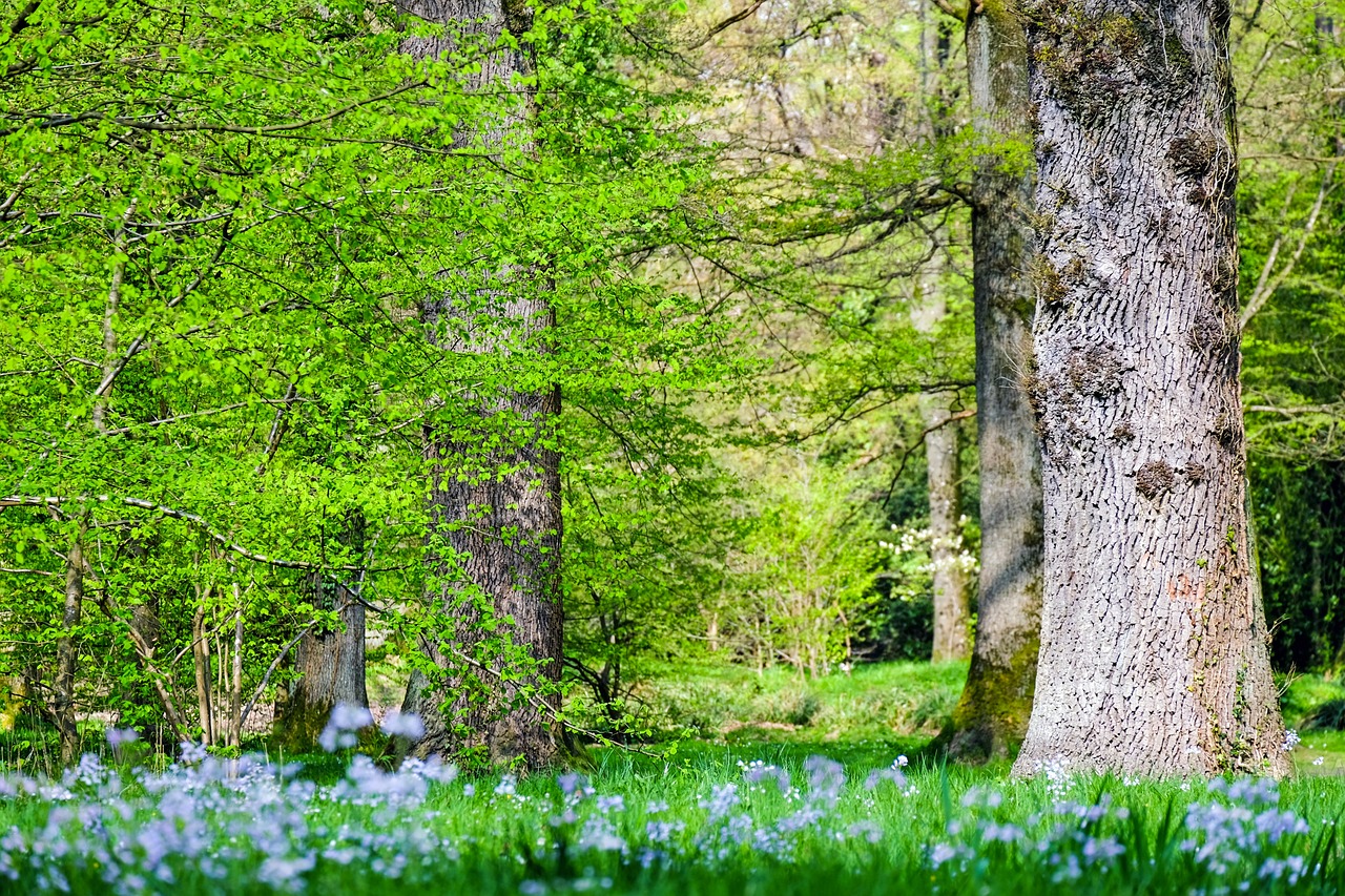 découvrez l'écologie, la science qui étudie les interactions entre les êtres vivants et leur environnement. explorez les enjeux de la préservation de la biodiversité, le changement climatique et les solutions durables pour protéger notre planète.