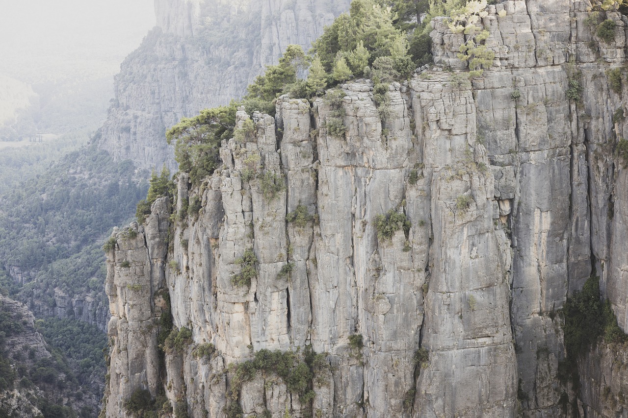 découvrez les paramètres environnementaux essentiels qui influencent notre planète. explorez l'impact des facteurs naturels et anthropiques sur l'écosystème et le climat, et apprenez comment les mesurer et les analyser pour un avenir plus durable.