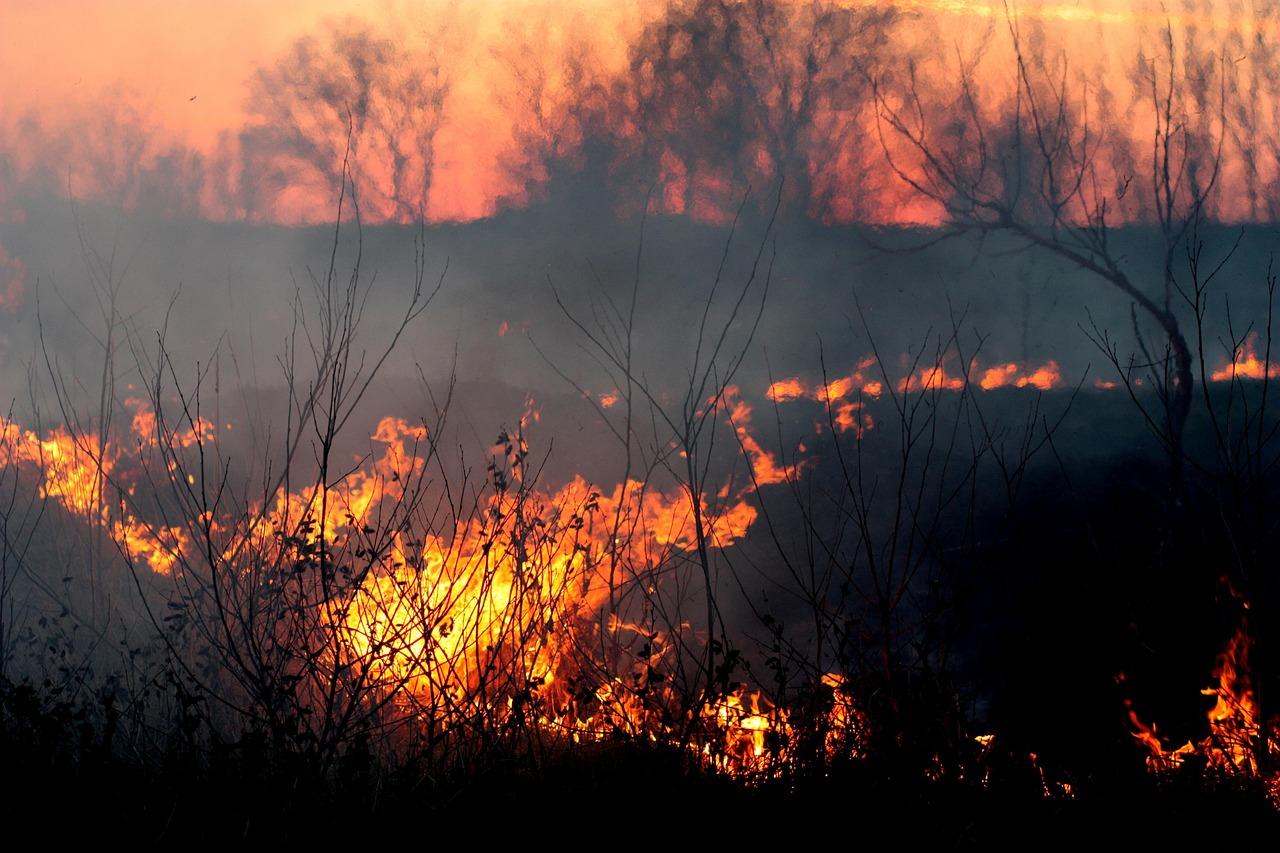 découvrez les différents types de catastrophes naturelles, leurs causes et leurs impacts sur l'environnement et les sociétés. informez-vous sur les mesures de prévention et d'intervention pour mieux gérer ces événements dévastateurs.