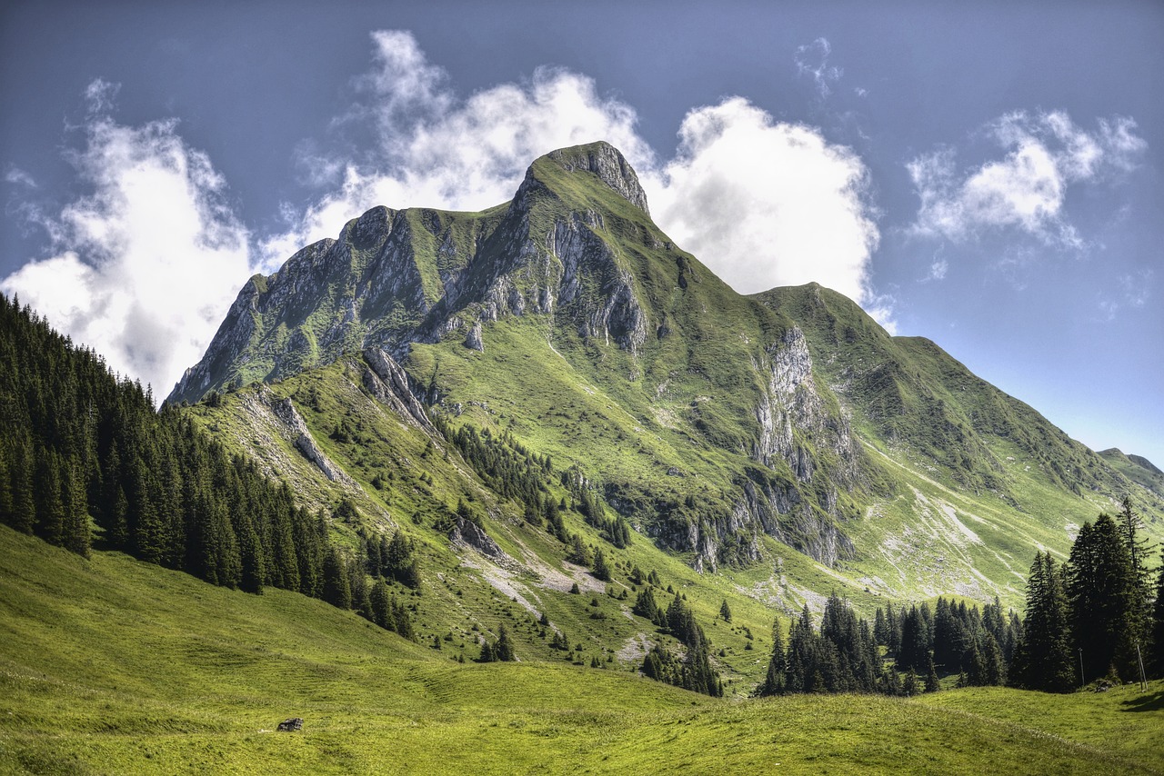 découvrez les objectifs de développement durable (odd) : une initiative mondiale visant à éradiquer la pauvreté, protéger la planète et garantir la prospérité pour tous d'ici 2030. engagez-vous pour un avenir meilleur grâce à des actions concrètes et durables.