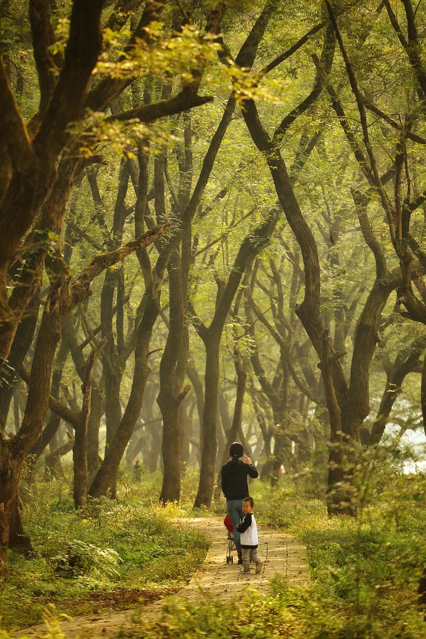 découvrez notre engagement pour la protection de l'environnement. explorez des initiatives durables, des conseils pratiques et des actions concrètes pour préserver notre planète et favoriser un avenir écologique. rejoignez le mouvement pour un monde plus vert et responsable.