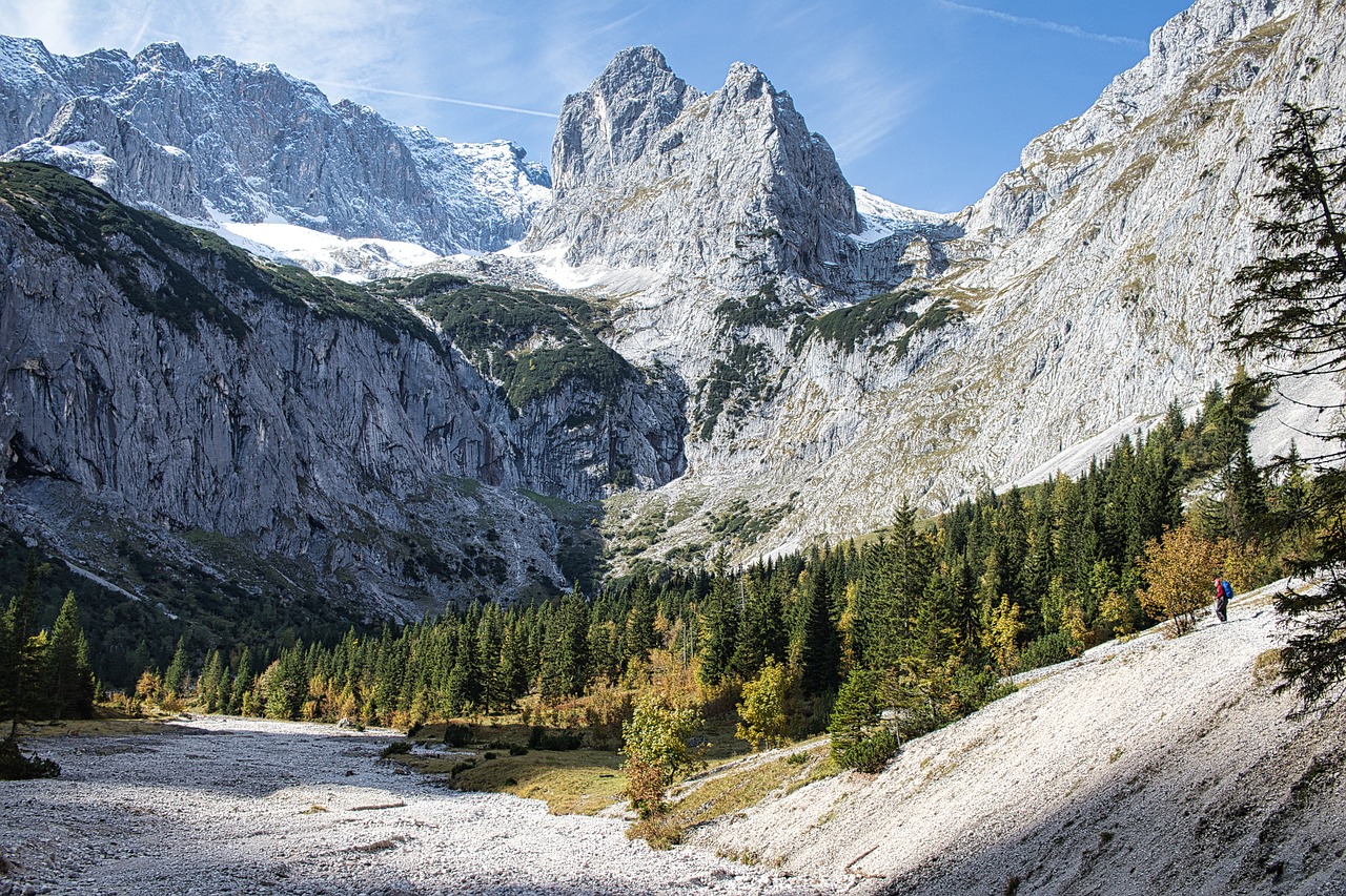 découvrez la beauté et la biodiversité des forêts, véritables poumons de notre planète. explorez des merveilles naturelles, apprenez l'importance de la conservation et engagez-vous pour un avenir durable en préservant nos écosystèmes forestiers.