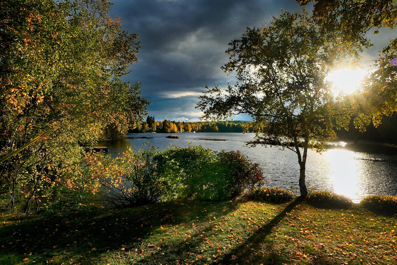 découvrez l'importance de la biodiversité pour notre planète, son rôle dans l'écosystème, et les initiatives pour la préserver. apprenez comment chaque espèce contribue à l'équilibre de notre environnement.