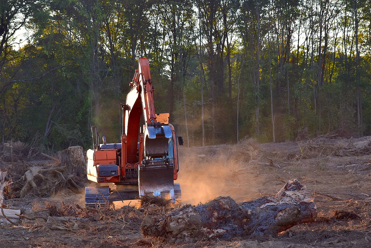 découvrez les enjeux et les conséquences de la déforestation à travers le monde. explorez les impacts environnementaux, économiques et sociaux de la destruction des forêts et découvrez des solutions durables pour préserver notre planète.