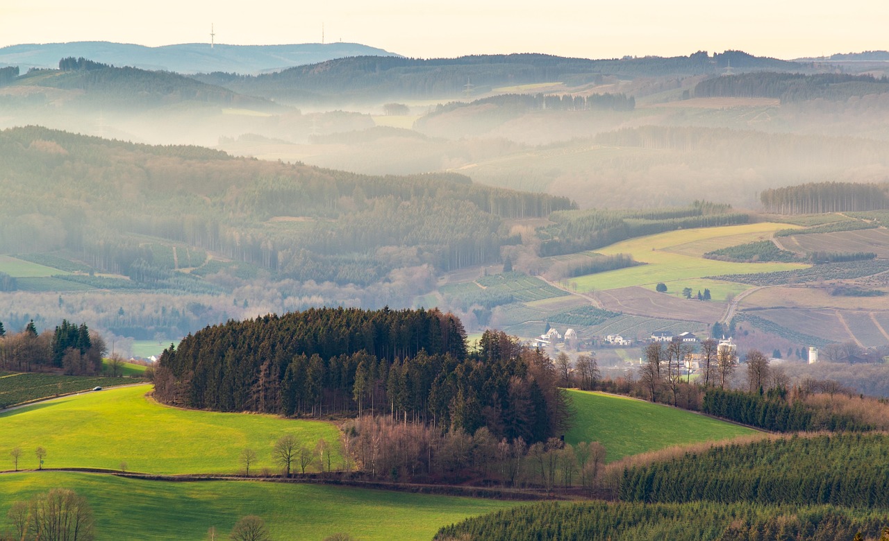 découvrez comment protéger notre planète et adopter des pratiques durables pour préserver l'environnement. explorez des conseils, des solutions écologiques et des initiatives pour un avenir meilleur.