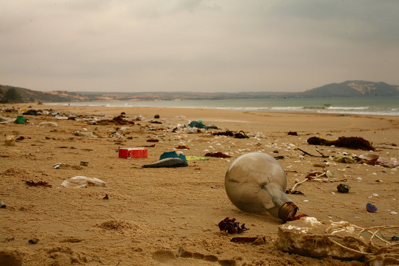 découvrez les enjeux de la pollution plastique, ses impacts sur l'environnement et la santé, ainsi que des solutions pour réduire cette menace mondiale. informez-vous sur les initiatives et actions à entreprendre pour un avenir durable.