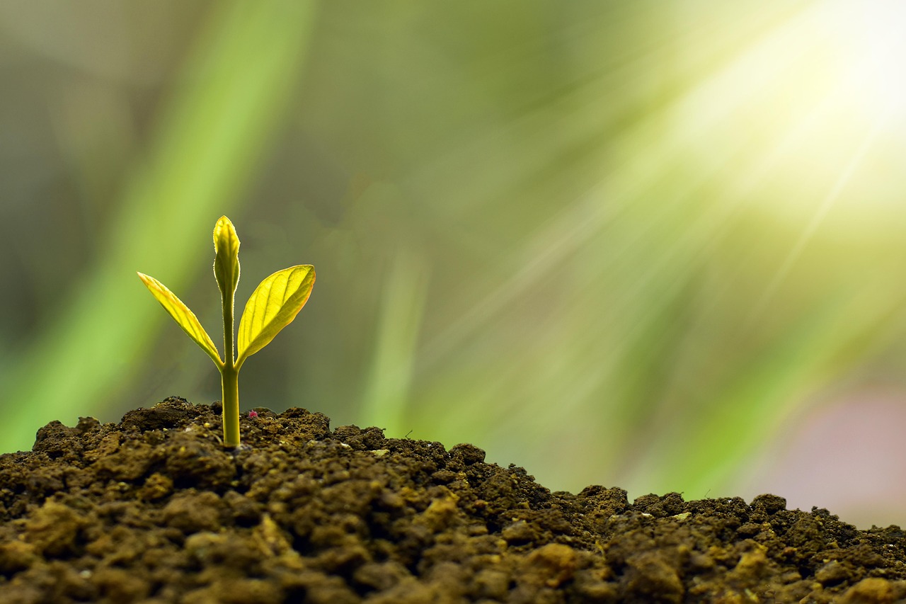 découvrez comment l'économie verte transforme notre planète en adoptant des pratiques durables et respectueuses de l'environnement. explorez les initiatives, les technologies innovantes et les solutions écologiques qui favorisent une croissance économique responsable et un avenir meilleur pour les générations futures.