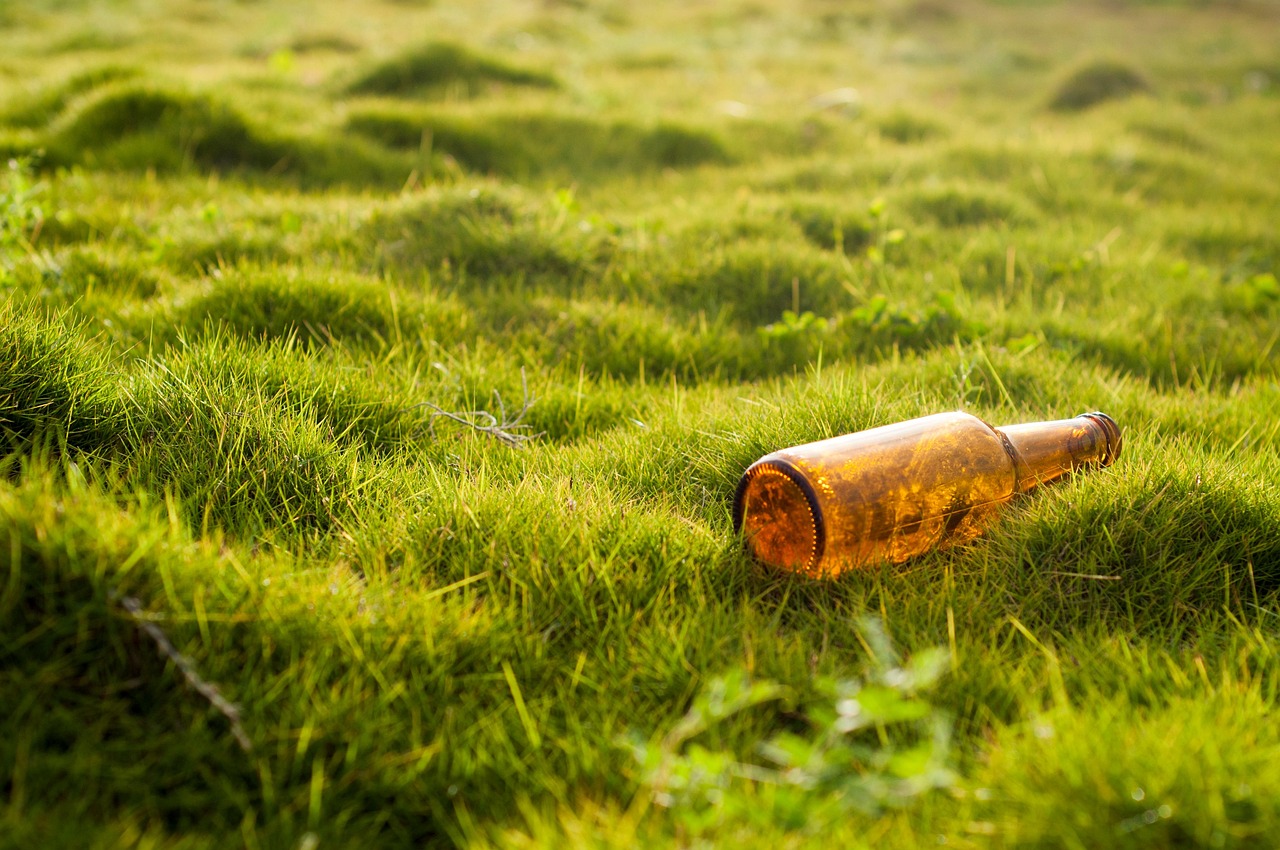 découvrez l'impact environnemental de nos actions quotidiennes et les enjeux liés à la durabilité. apprenez comment réduire votre empreinte écologique et promouvoir un avenir plus vert.