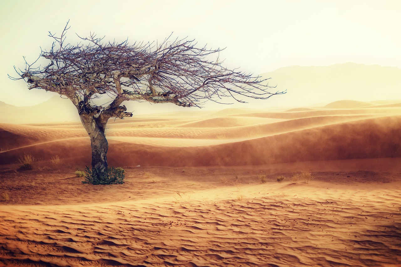 découvrez les enjeux majeurs du changement climatique, ses impacts sur notre planète et les actions nécessaires pour préserver notre environnement. informez-vous sur les solutions durables et engagez-vous pour un avenir plus vert.