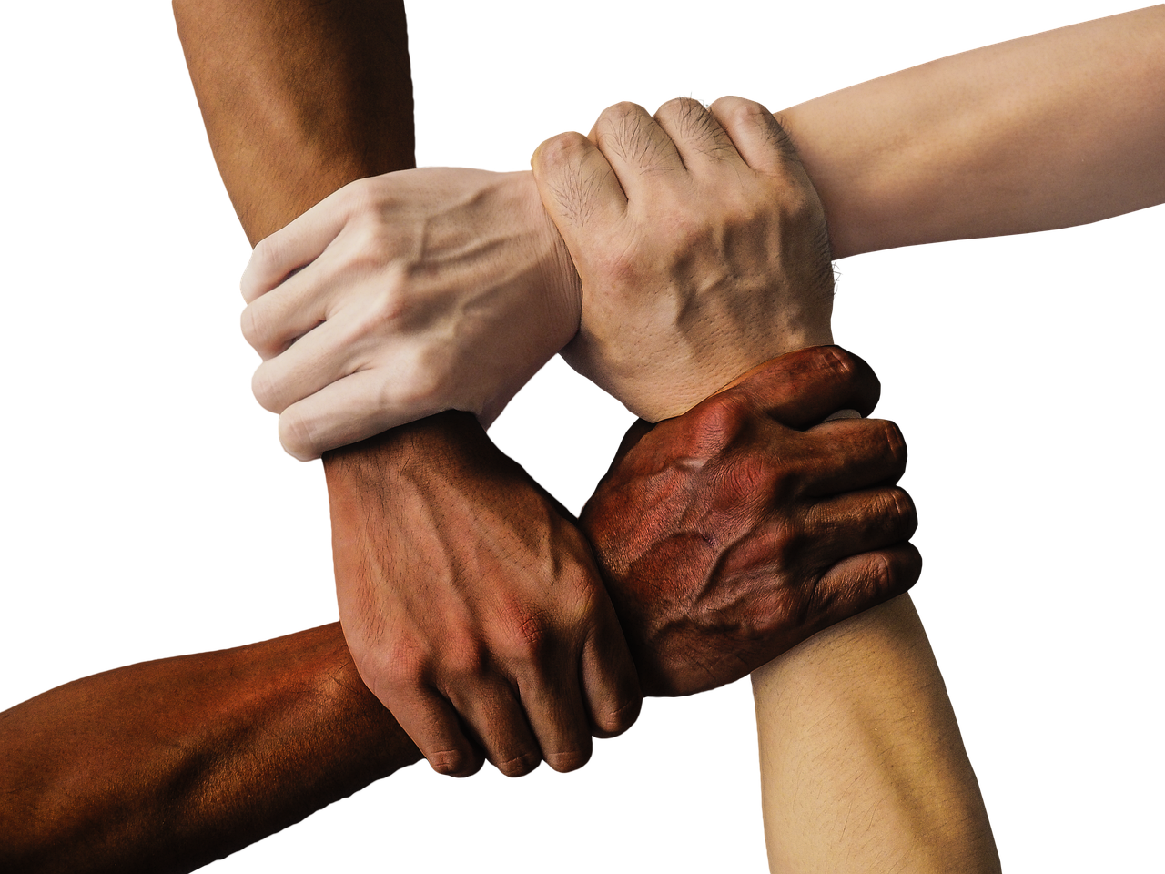 découvrez des initiatives communautaires inspirantes qui favorisent la coopération, l'engagement citoyen et l'amélioration de la vie locale. rejoignez-nous pour bâtir un avenir meilleur ensemble!