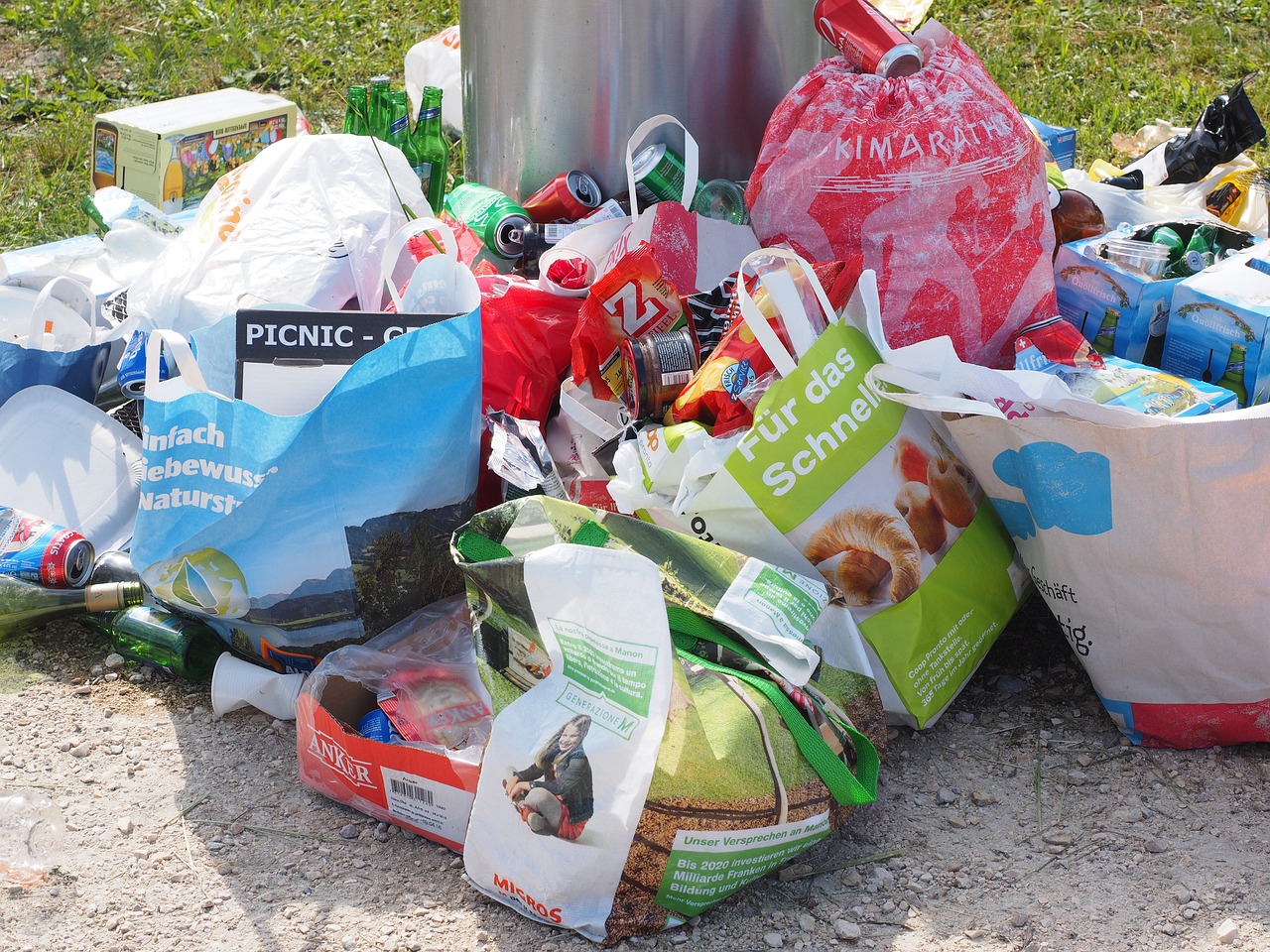 découvrez le monde de l'activisme environnemental, un mouvement passionné qui lutte pour la protection de notre planète. informez-vous sur les actions, les initiatives et les personnalités qui œuvrent pour un avenir durable. rejoignez-nous pour faire entendre votre voix et contribuer au changement!