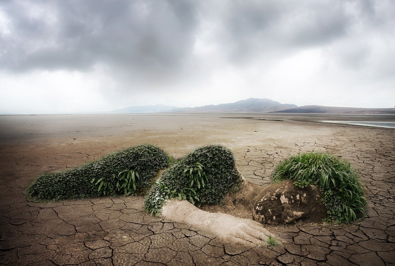 découvrez l'impact environnemental des activités humaines, les enjeux liés à la pollution, à la déforestation et au changement climatique, ainsi que des solutions pour préserver notre planète.