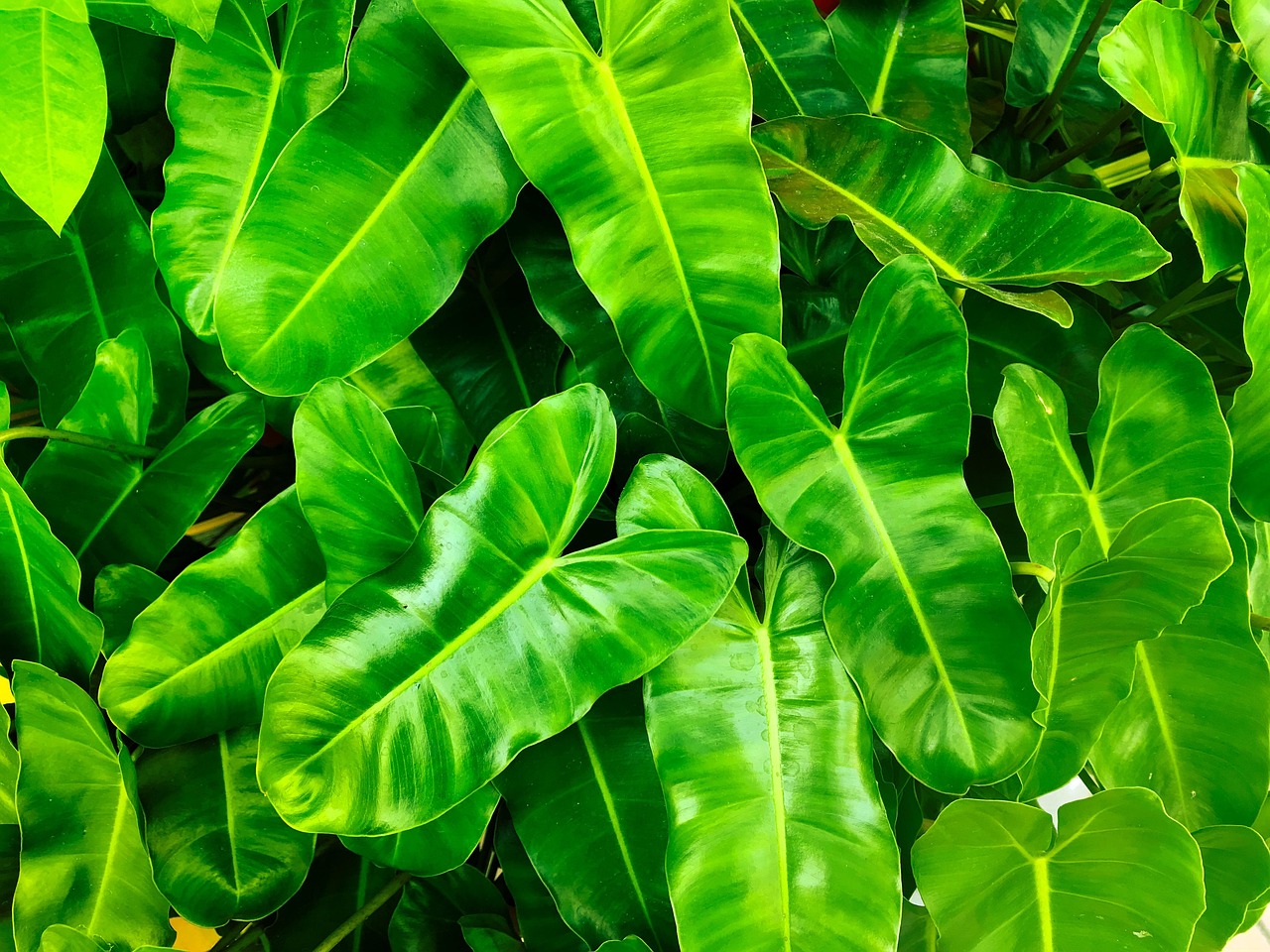 découvrez les implications de l'inégalité environnementale, un enjeu crucial qui met en lumière les disparités d'accès aux ressources naturelles et à un environnement sain. comprenez comment cette problématique affecte divers groupes sociaux et quelles solutions peuvent être mises en œuvre pour garantir une justice environnementale pour tous.