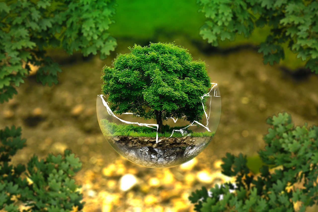 découvrez les normes environnementales essentielles pour favoriser un développement durable. informez-vous sur les réglementations, les pratiques et les objectifs visant à protéger l'environnement tout en soutenant les entreprises et la société.