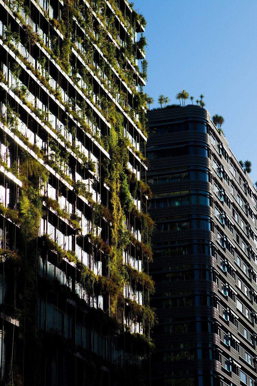 découvrez comment construire une communauté durable, où l'harmonie entre l'homme et la nature favorise un avenir meilleur. explorez des initiatives écologiques, des modes de vie responsables et des projets collaboratifs pour un développement durable.