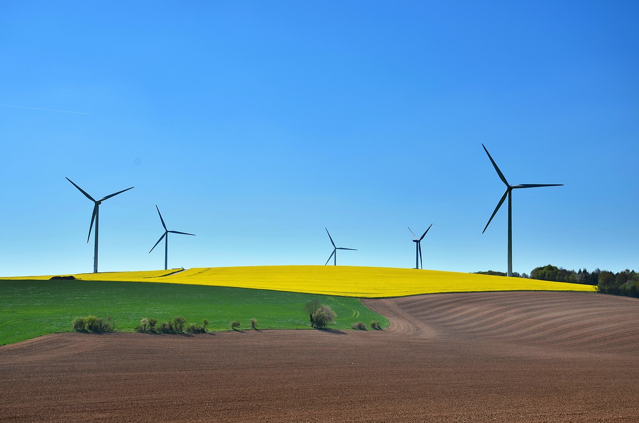 découvrez notre gamme de produits durables, conçus pour minimiser l'impact environnemental tout en offrant qualité et performance. engagez-vous pour un mode de vie éco-responsable avec des articles qui respectent la planète.