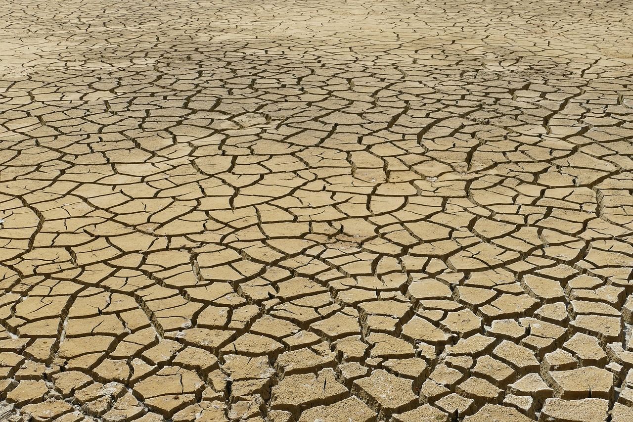 découvrez l'impact du changement climatique sur notre planète et les actions que nous pouvons entreprendre pour le ralentir. explorez des solutions durables et informez-vous sur les enjeux environnementaux qui nous concernent tous.