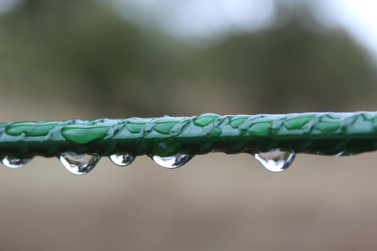 découvrez la climatologie, la science qui étudie le climat et ses variations. comprenez les phénomènes atmosphériques, l'impact du changement climatique et l'importance de la préservation de notre environnement pour un avenir durable.
