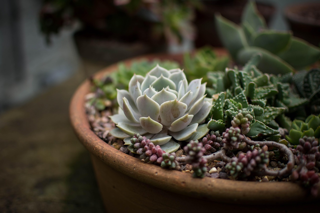 évaluez l'impact écologique de vos projets avec notre expertise en évaluation environnementale. découvrez des solutions durables pour minimiser les effets sur la biodiversité et les écosystèmes.