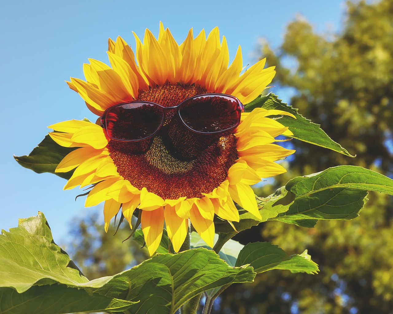 découvrez flora protection, votre expert en solutions naturelles pour préserver et protéger la biodiversité. explorez nos produits écologiques et engagez-vous pour un avenir durable.