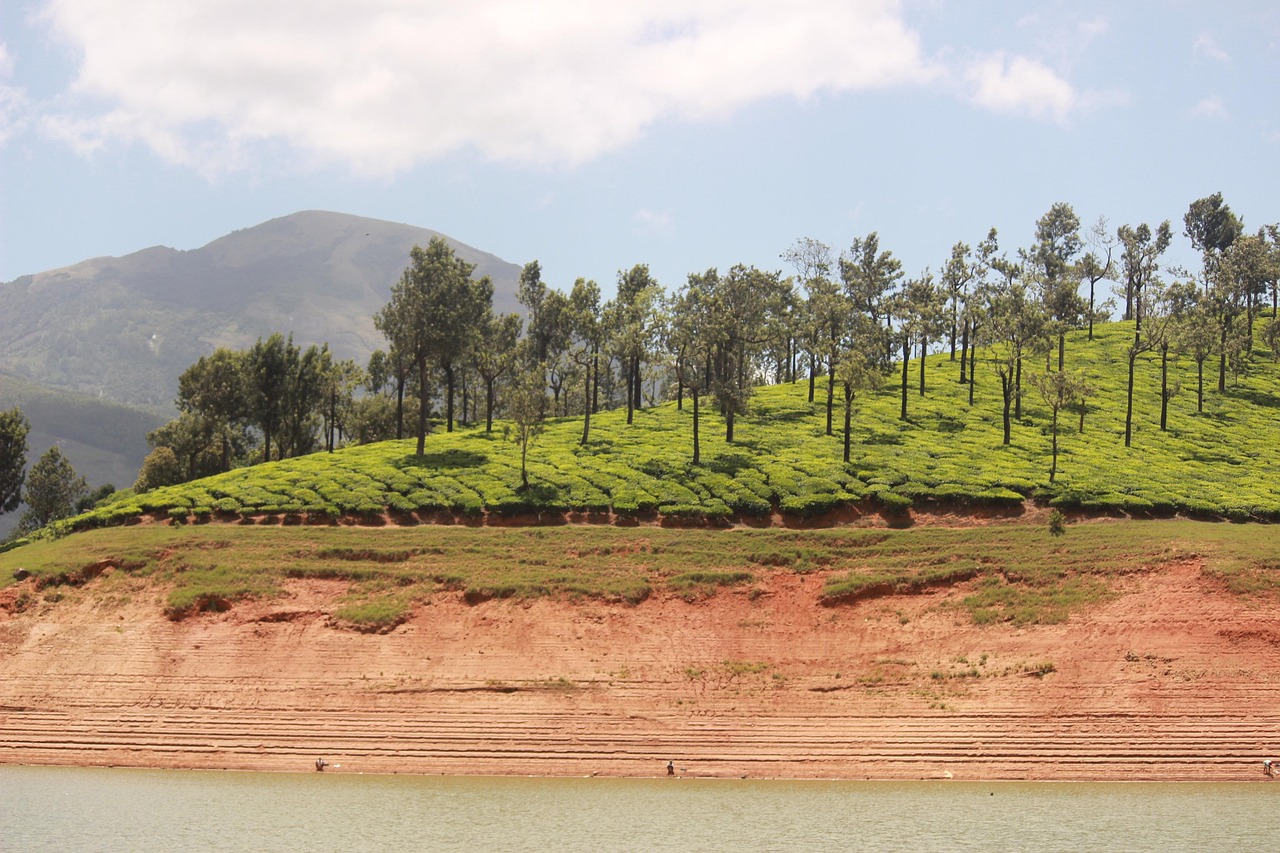 découvrez l'innovation des 'green dams' : des barrages écologiques qui allient protection des écosystèmes et gestion durable de l'eau. apprenez comment ces structures révolutionnent la lutte contre l'érosion et favorisent la biodiversité tout en préservant nos ressources naturelles.