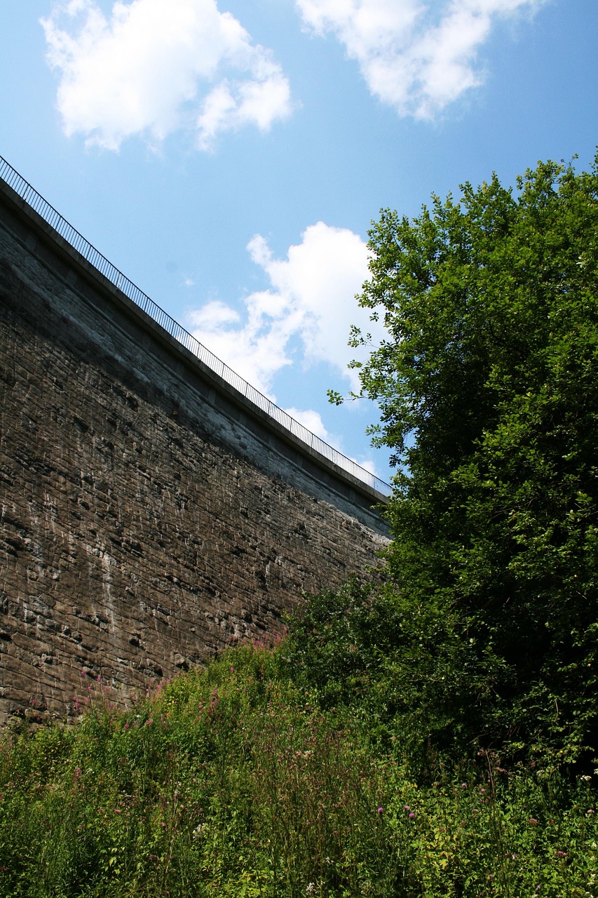 découvrez l'innovation des green dams, des structures écologiques conçues pour protéger nos ressources en eau tout en préservant la biodiversité. apprenez comment ces solutions durables contribuent à la gestion efficace des eaux pluviales et à la réduction des risques d'inondation.
