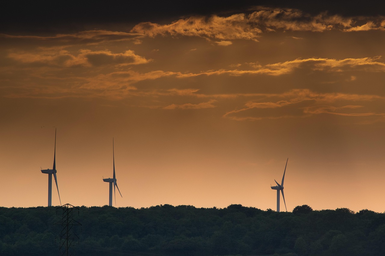 découvrez les ressources renouvelables, leur importance dans la transition énergétique et comment elles contribuent à un avenir durable. apprenez-en plus sur l'énergie solaire, éolienne et d'autres sources respectueuses de l'environnement.